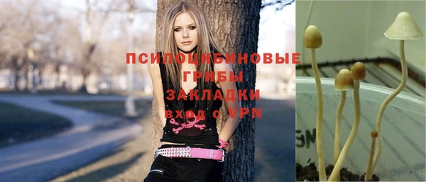 эйфоретик Ладушкин
