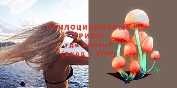 эйфоретик Ладушкин