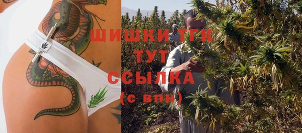 стаф Лабытнанги
