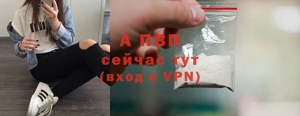 эйфоретик Ладушкин