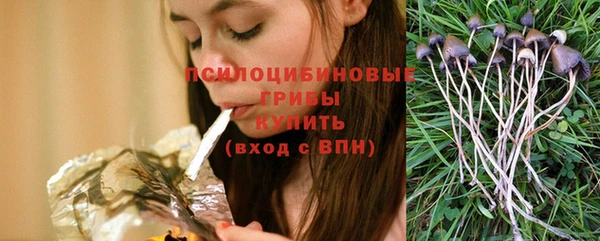 эйфоретик Ладушкин